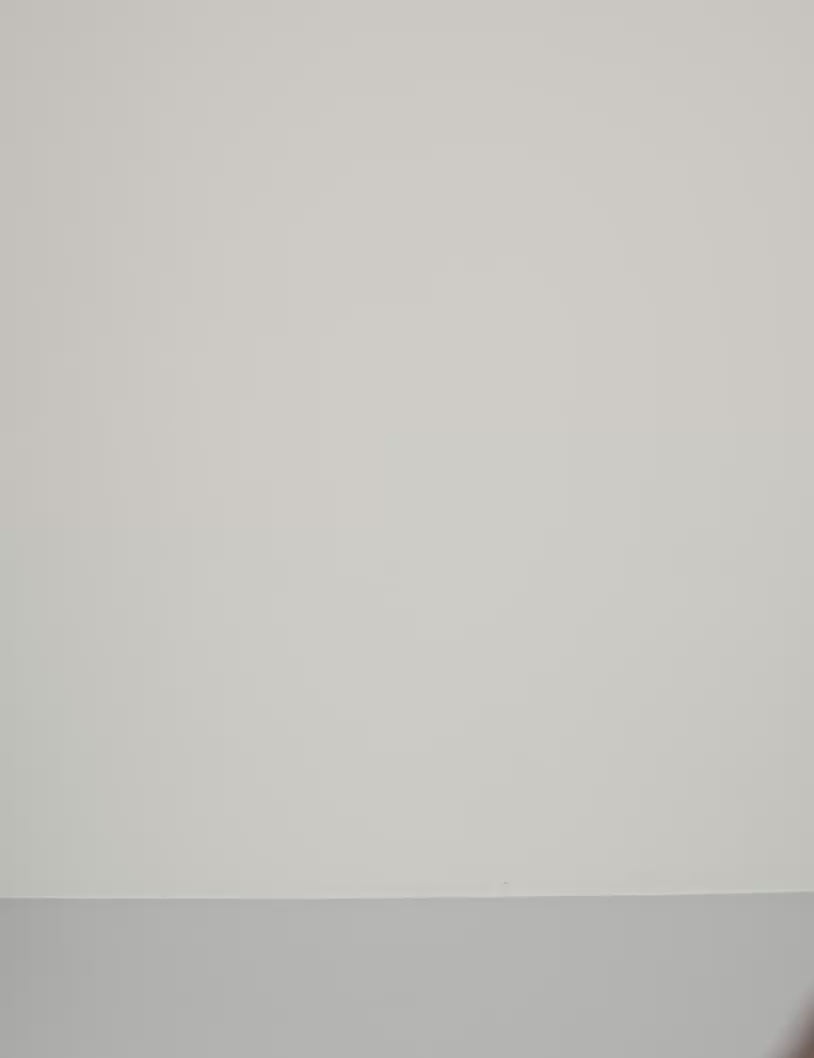 Averie-M_Java Melange_Video_7