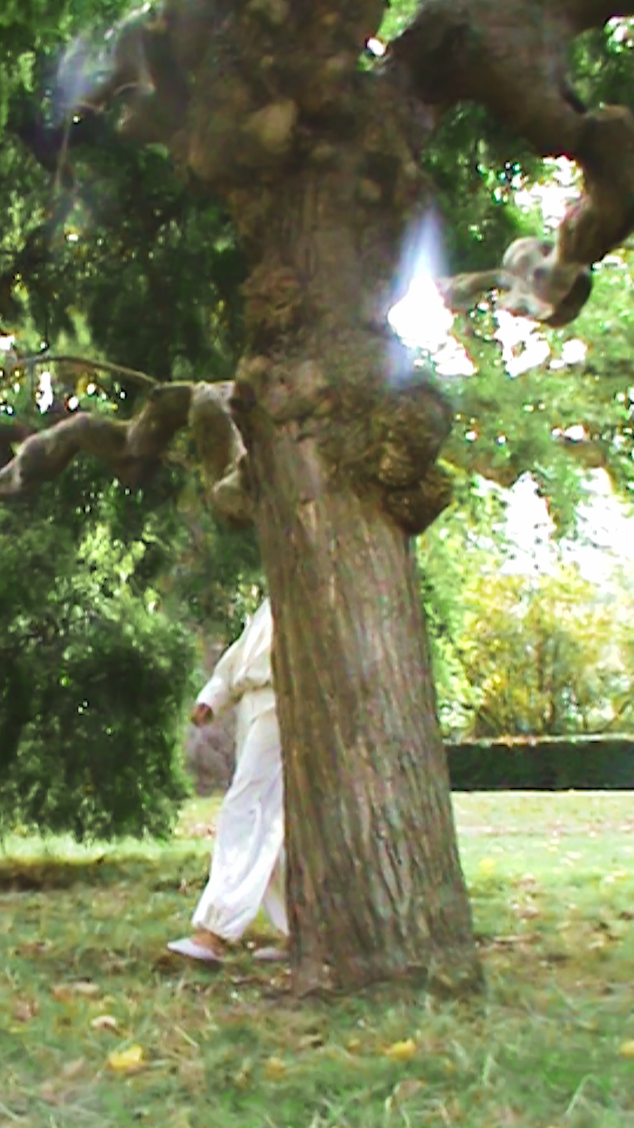 Ralfar-M_Sugar_Video_4